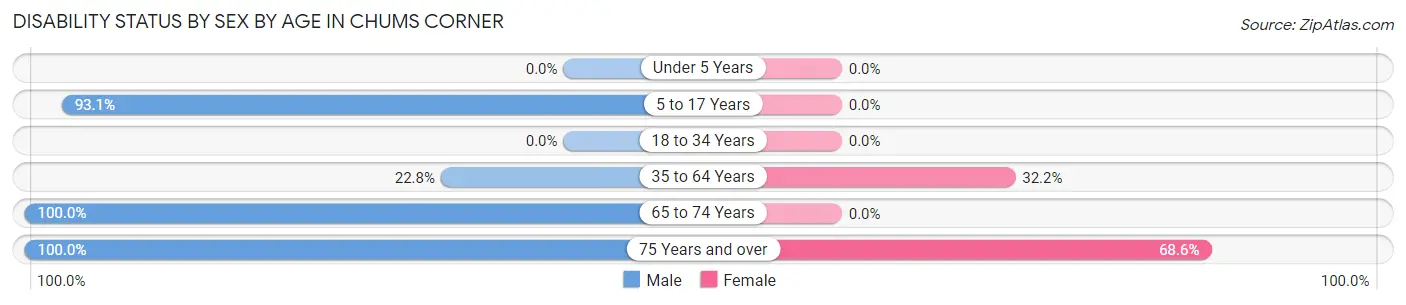 Disability Status by Sex by Age in Chums Corner
