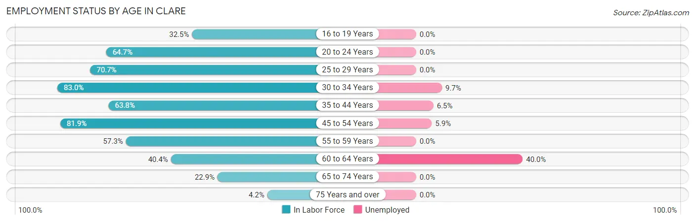 Employment Status by Age in Clare