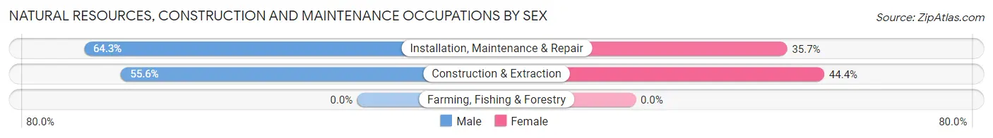 Natural Resources, Construction and Maintenance Occupations by Sex in Colon