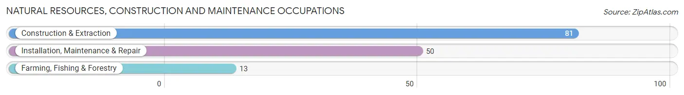 Natural Resources, Construction and Maintenance Occupations in Constantine