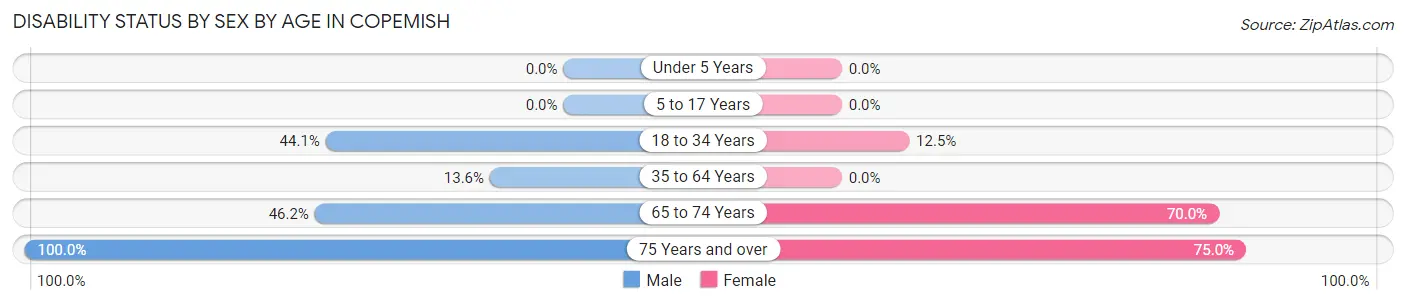 Disability Status by Sex by Age in Copemish