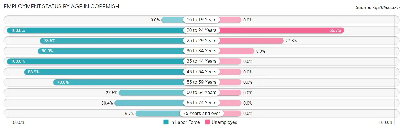 Employment Status by Age in Copemish