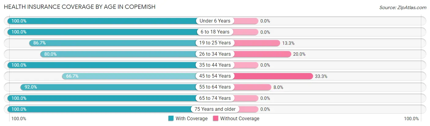 Health Insurance Coverage by Age in Copemish