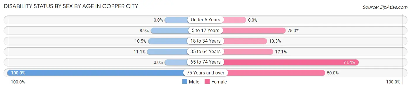 Disability Status by Sex by Age in Copper City