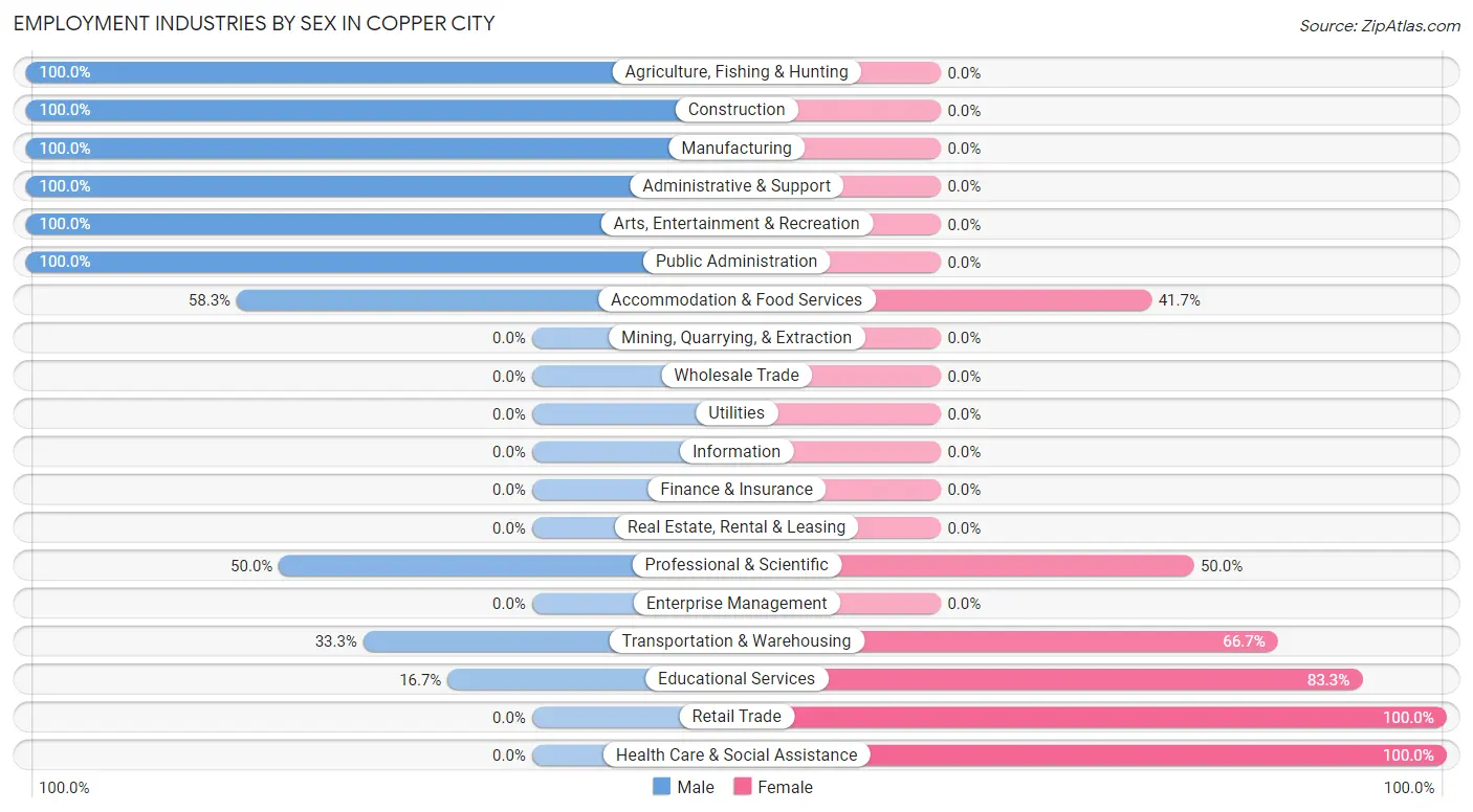 Employment Industries by Sex in Copper City