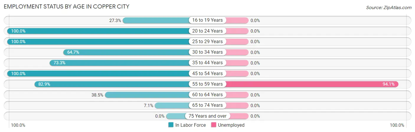 Employment Status by Age in Copper City