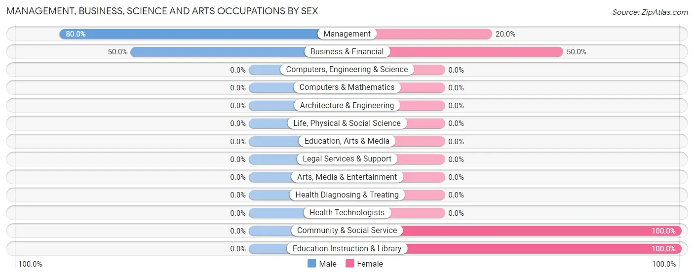 Management, Business, Science and Arts Occupations by Sex in Copper City