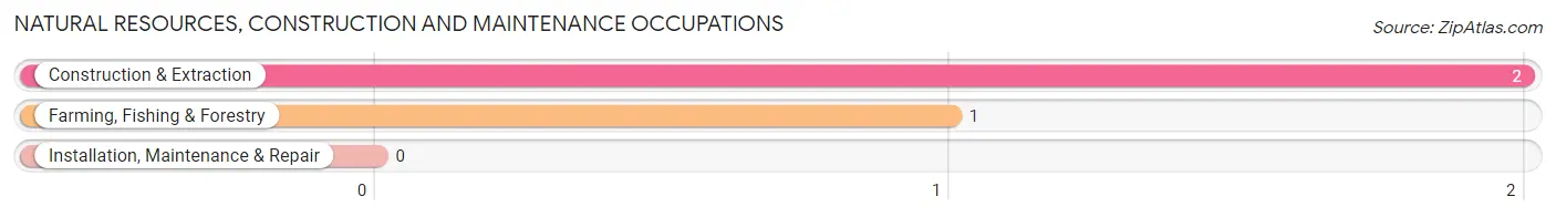 Natural Resources, Construction and Maintenance Occupations in Covington