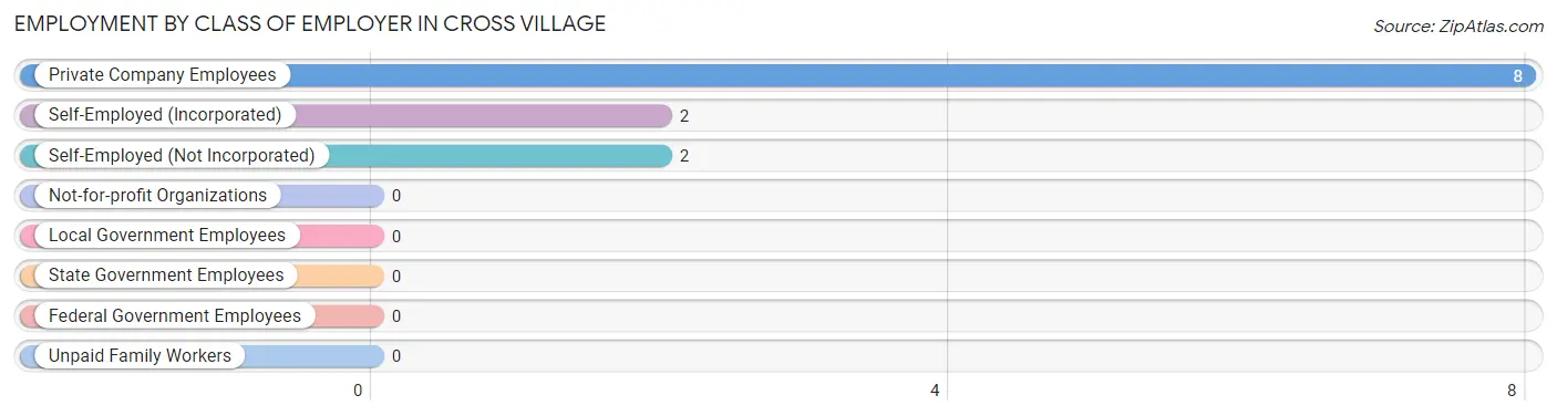 Employment by Class of Employer in Cross Village