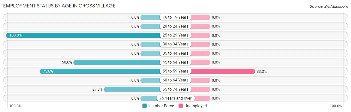 Employment Status by Age in Cross Village
