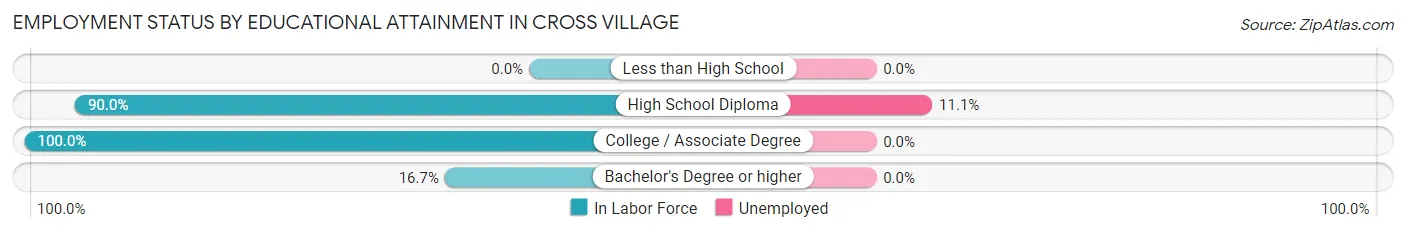Employment Status by Educational Attainment in Cross Village