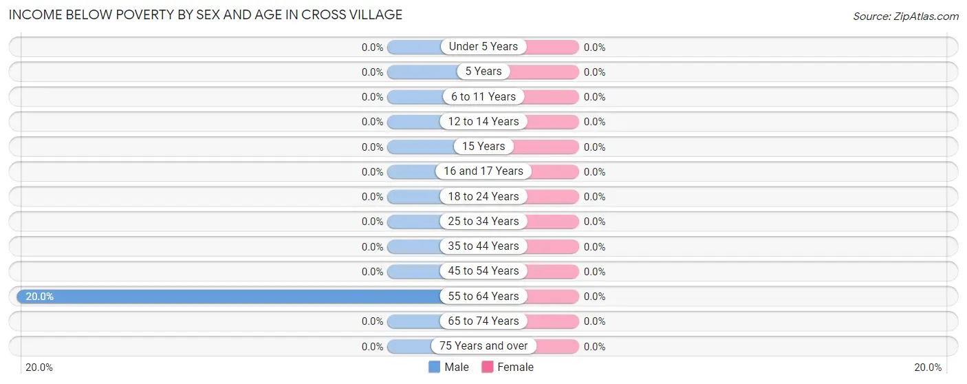 Income Below Poverty by Sex and Age in Cross Village