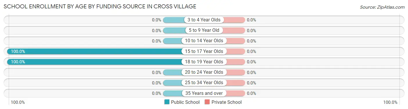 School Enrollment by Age by Funding Source in Cross Village