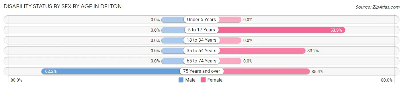Disability Status by Sex by Age in Delton