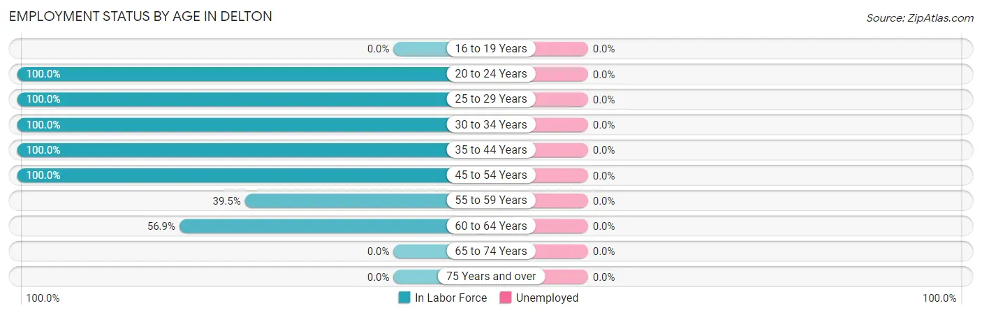 Employment Status by Age in Delton