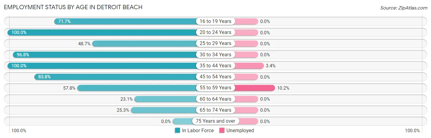 Employment Status by Age in Detroit Beach