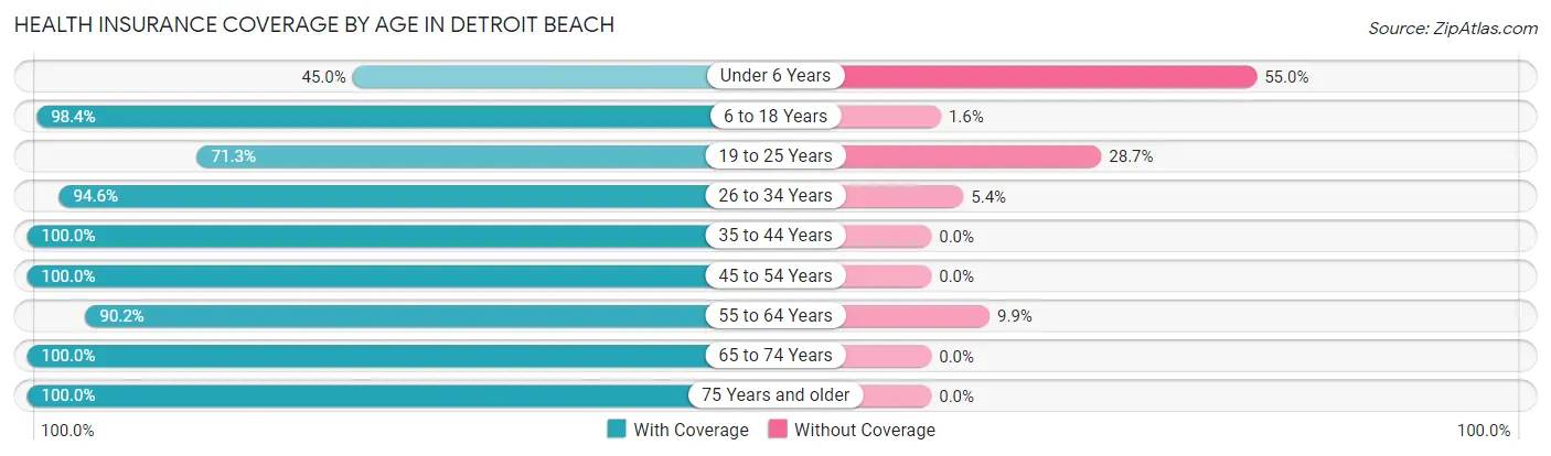 Health Insurance Coverage by Age in Detroit Beach
