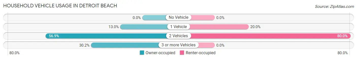 Household Vehicle Usage in Detroit Beach