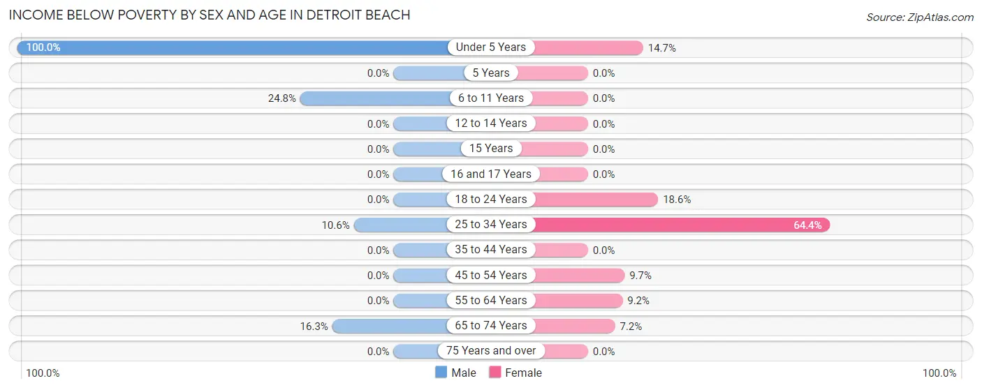 Income Below Poverty by Sex and Age in Detroit Beach