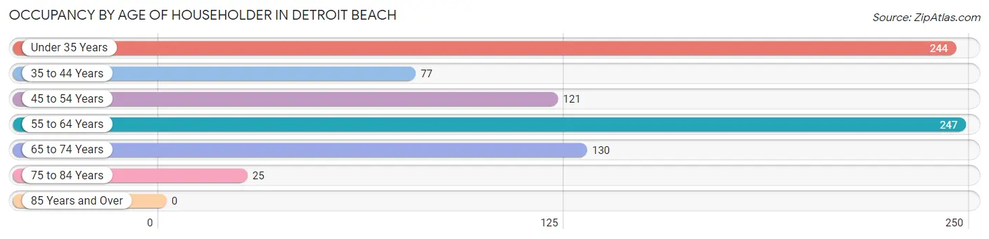 Occupancy by Age of Householder in Detroit Beach