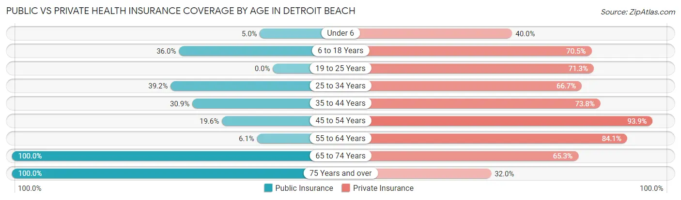 Public vs Private Health Insurance Coverage by Age in Detroit Beach