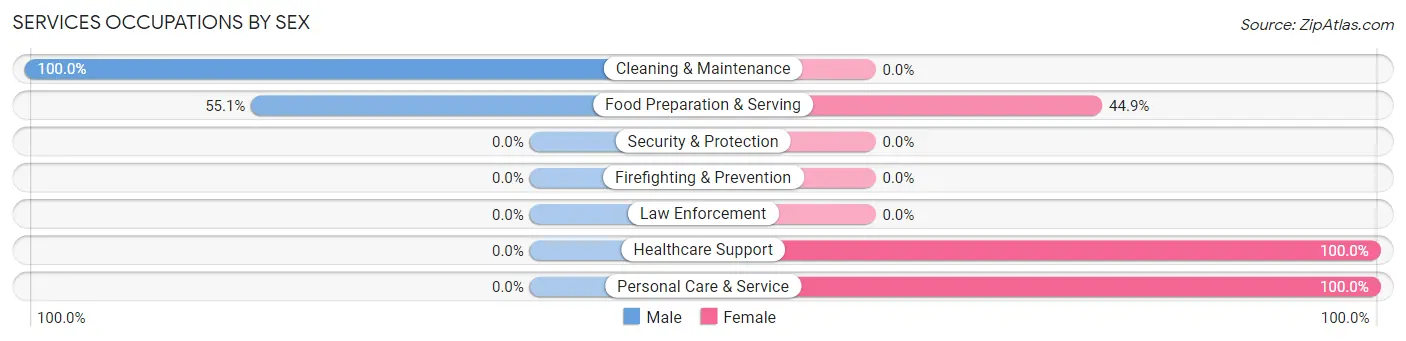 Services Occupations by Sex in Detroit Beach