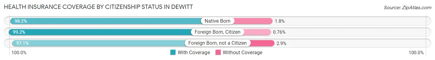 Health Insurance Coverage by Citizenship Status in Dewitt