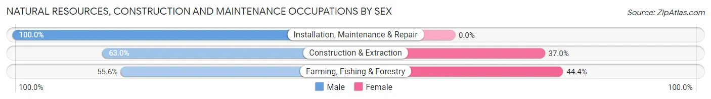 Natural Resources, Construction and Maintenance Occupations by Sex in Dewitt