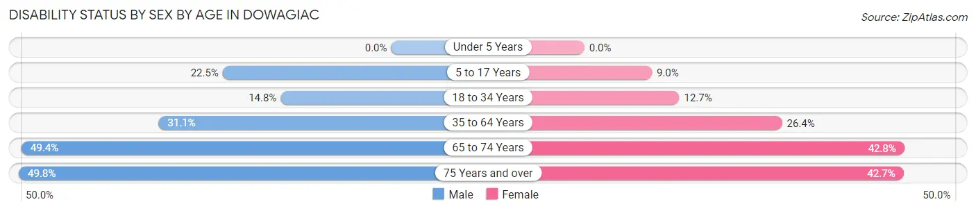 Disability Status by Sex by Age in Dowagiac