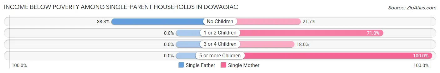 Income Below Poverty Among Single-Parent Households in Dowagiac