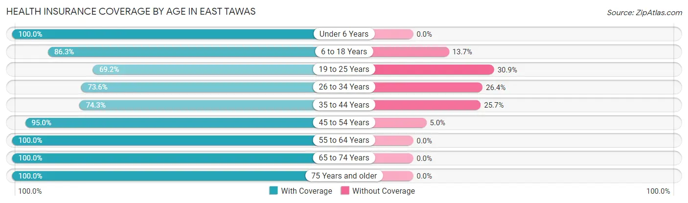 Health Insurance Coverage by Age in East Tawas