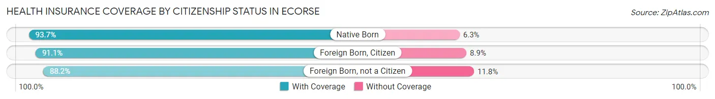 Health Insurance Coverage by Citizenship Status in Ecorse