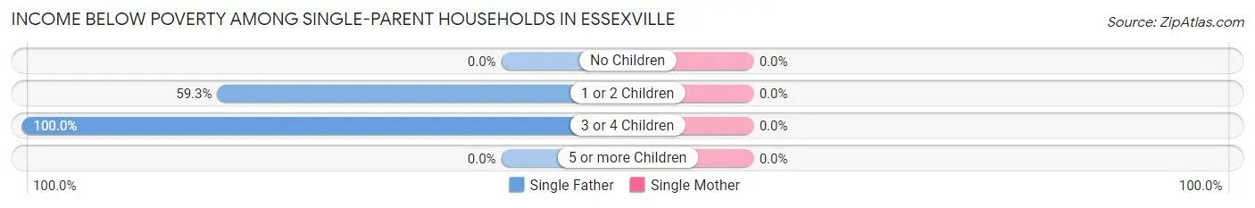 Income Below Poverty Among Single-Parent Households in Essexville