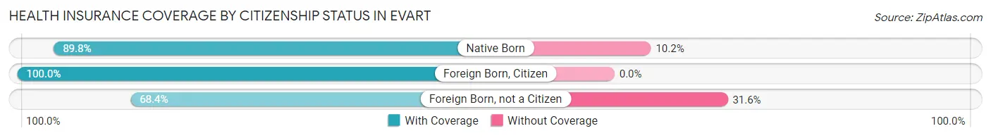 Health Insurance Coverage by Citizenship Status in Evart
