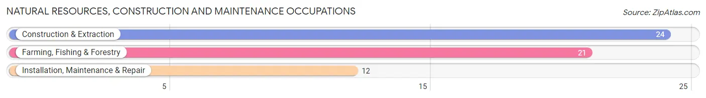 Natural Resources, Construction and Maintenance Occupations in Farwell