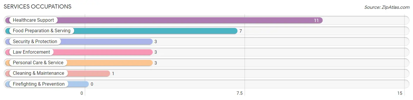 Services Occupations in Fife Lake