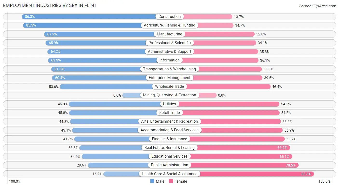 Employment Industries by Sex in Flint