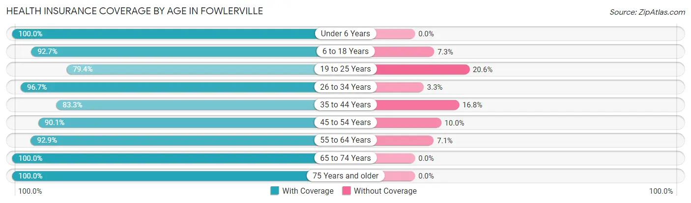 Health Insurance Coverage by Age in Fowlerville