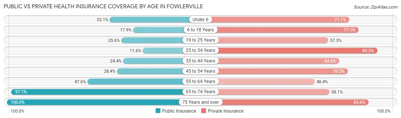 Public vs Private Health Insurance Coverage by Age in Fowlerville