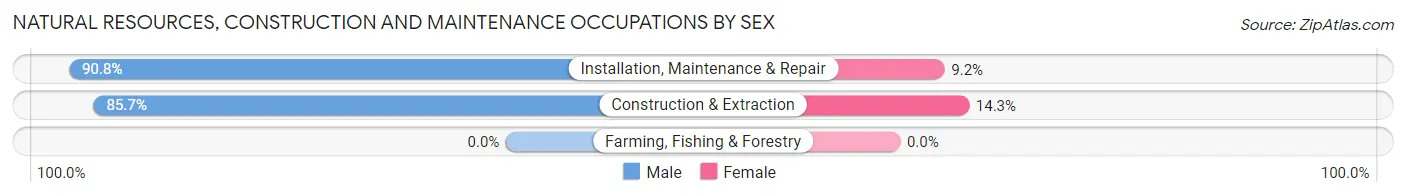 Natural Resources, Construction and Maintenance Occupations by Sex in Grand Haven