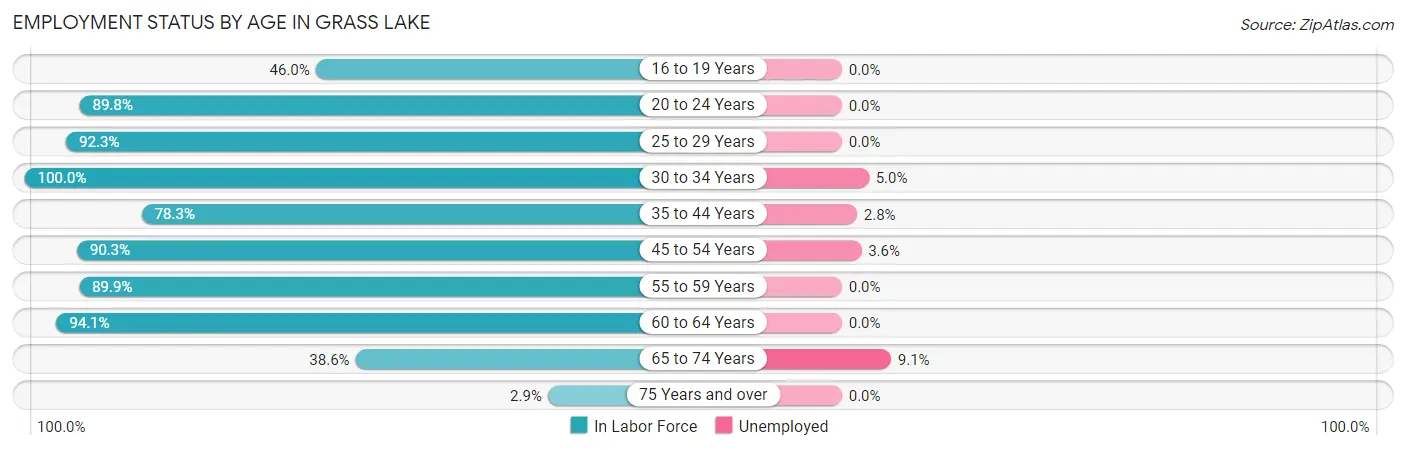 Employment Status by Age in Grass Lake