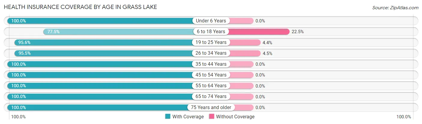 Health Insurance Coverage by Age in Grass Lake