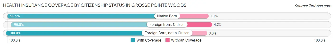 Health Insurance Coverage by Citizenship Status in Grosse Pointe Woods
