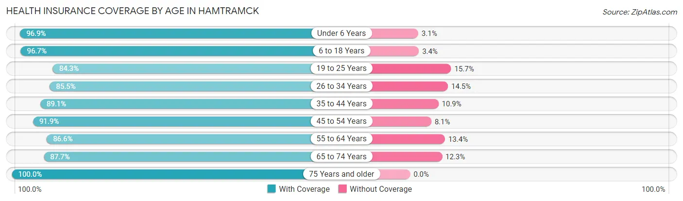Health Insurance Coverage by Age in Hamtramck