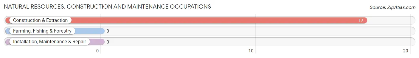 Natural Resources, Construction and Maintenance Occupations in Hardwood Acres