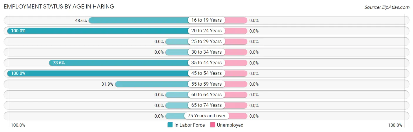 Employment Status by Age in Haring