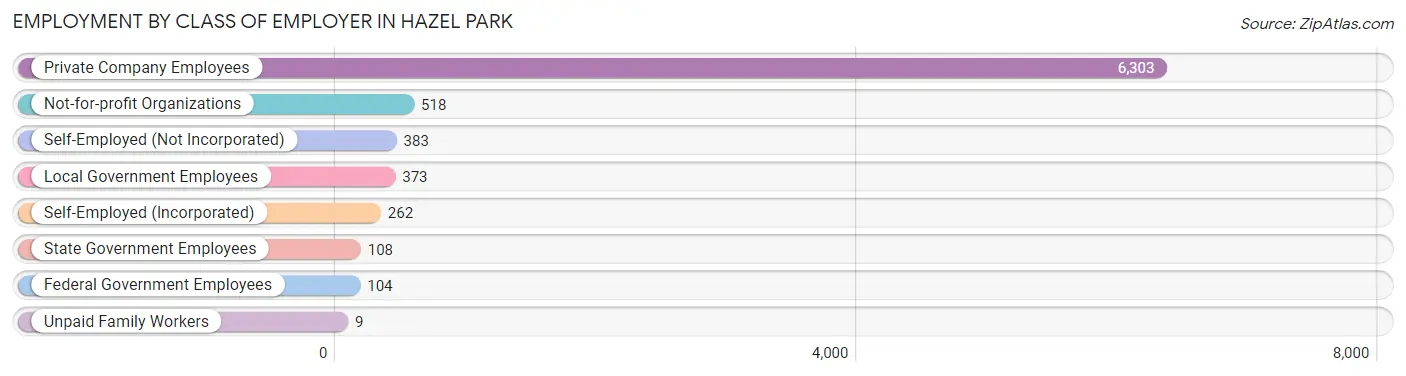 Employment by Class of Employer in Hazel Park