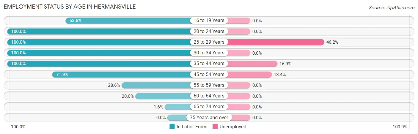 Employment Status by Age in Hermansville