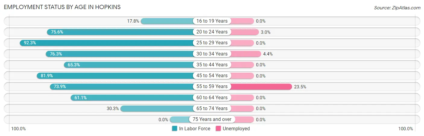 Employment Status by Age in Hopkins