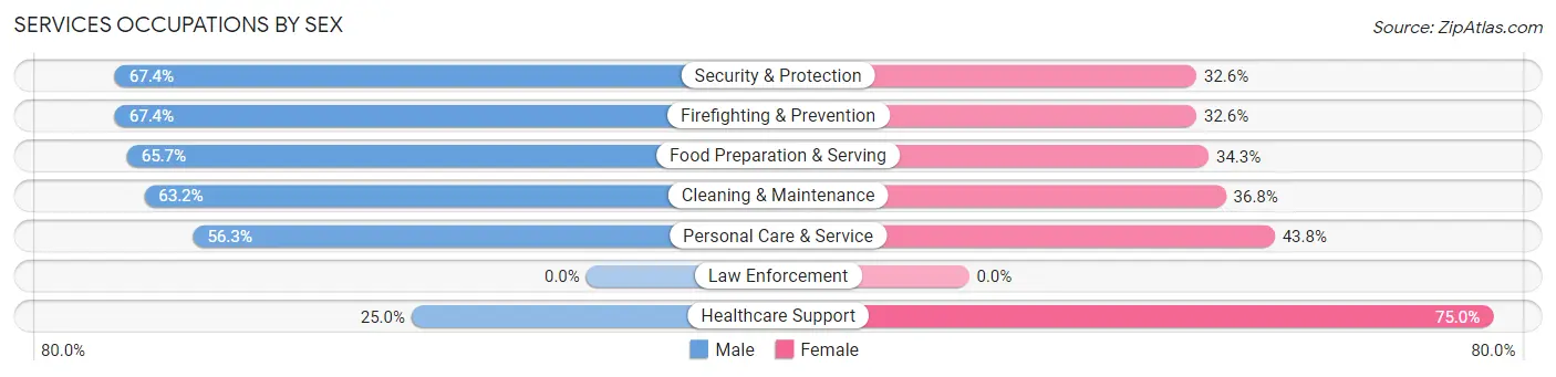 Services Occupations by Sex in Houghton